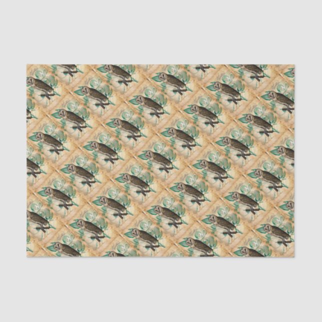 Barn Owl Vintage Tissue Paper (Front)