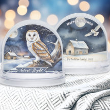 Barn Owl Watercolor Silent Night Snow Globe