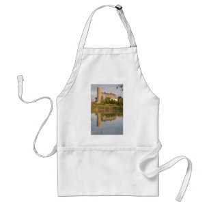 Barn Relected in the Water Standard Apron