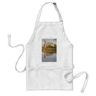 Barn Relected in the Water Standard Apron