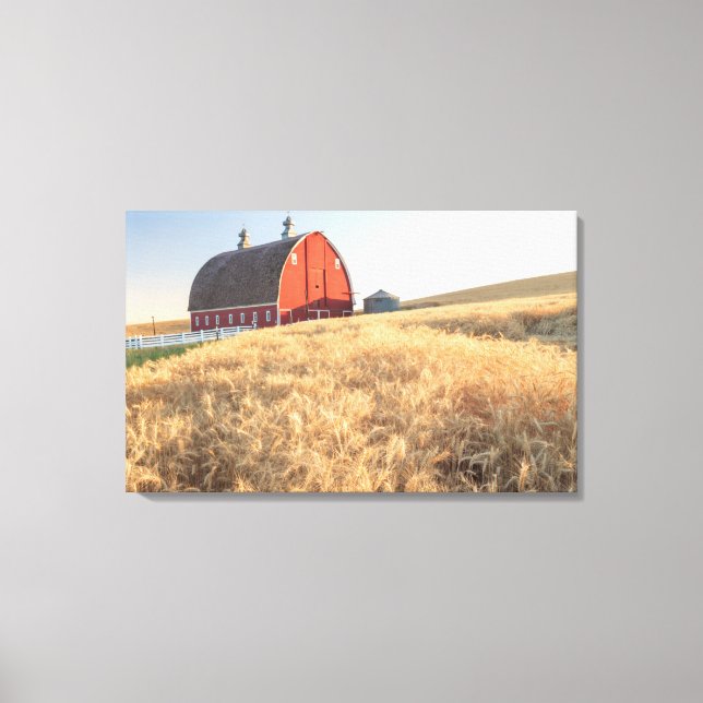 Barn, summer wheat fields near Sprague, Eastern 1 Canvas Print (Front)