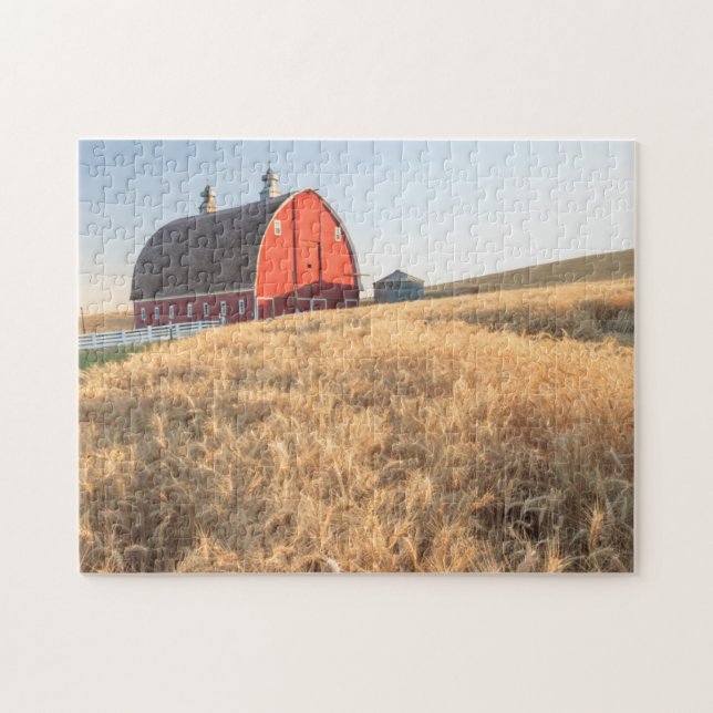 Barn, summer wheat fields near Sprague, Eastern 1 Jigsaw Puzzle (Horizontal)