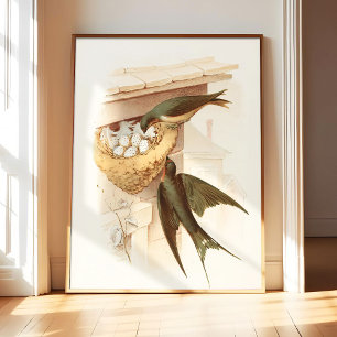 Barn Swallow (1882) Art Print Poster, Vintage Bird
