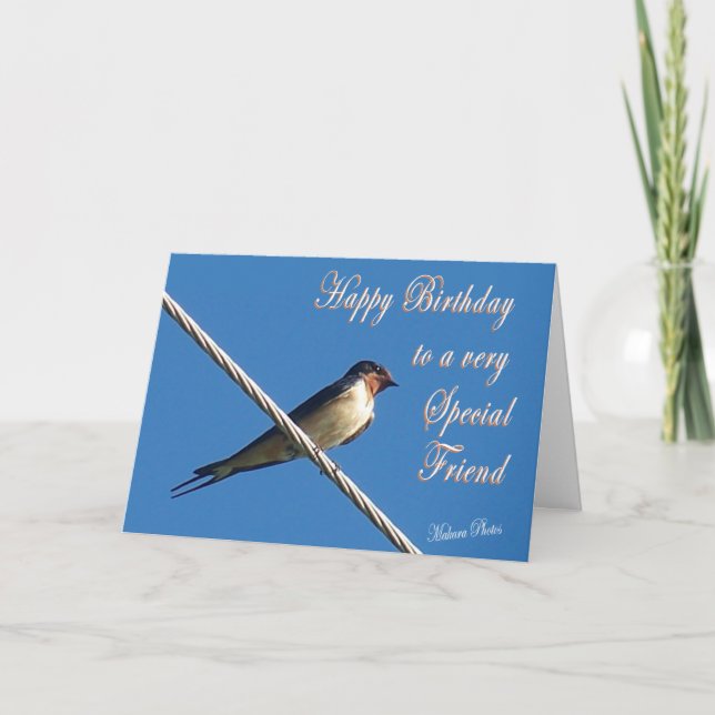 Barn Swallow Birthday Card (Front)