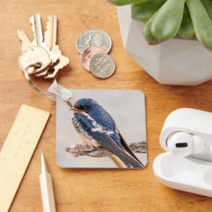 Barn Swallow, Brilliant Blue Songbird Key Ring