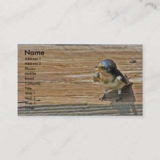 Barn Swallow Business Card