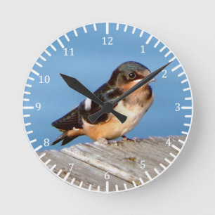Barn Swallow clock