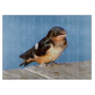 Barn Swallow cutting board