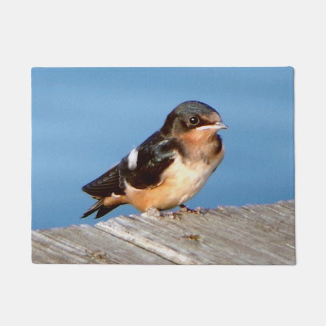 Barn Swallow door mat (Front)