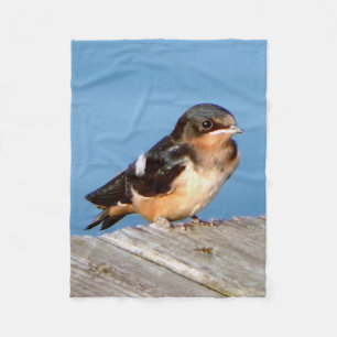 Barn Swallow fleece blanket