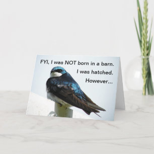 Barn Swallow I'm Sorry Card