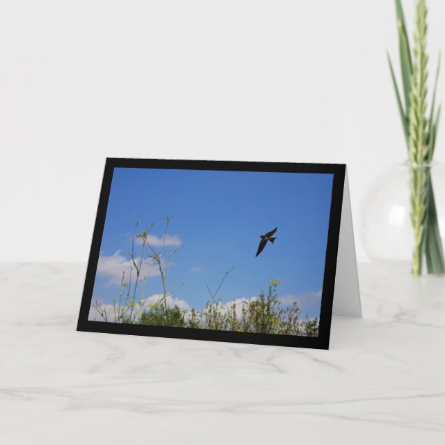 Barn Swallow in Flight Card (Front)