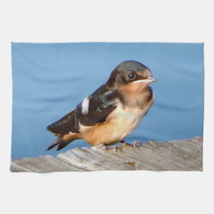 Barn Swallow kitchen towel