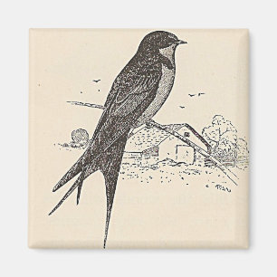 Barn Swallow Magnet