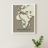 Barn Swallow Migration Map – Minimalist Vintage