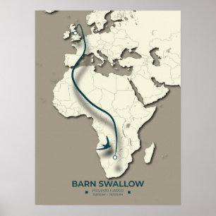 Barn Swallow Migration Map – Minimalist Vintage Poster