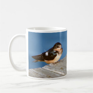 Barn Swallow mug