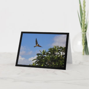 Barn Swallow Open Wings Card