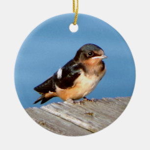 Barn Swallow ornament