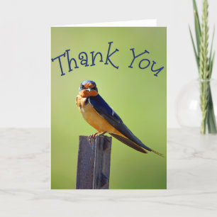 Barn Swallow Photo Thank You Card