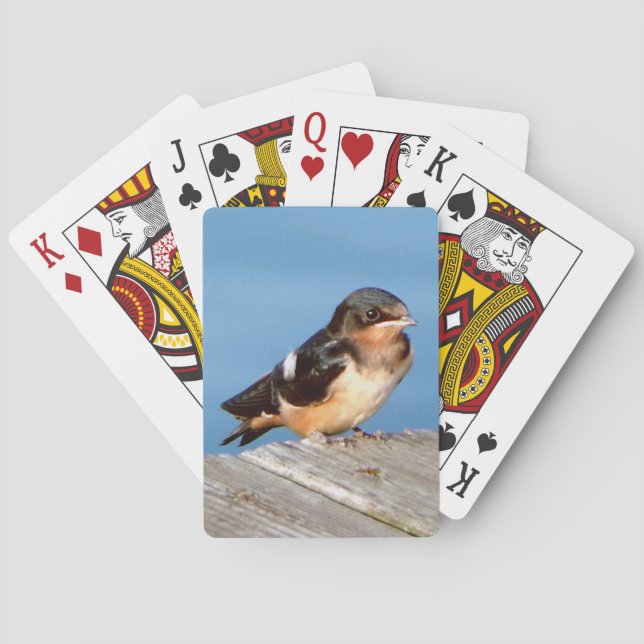 Barn Swallow playing cards (Back)