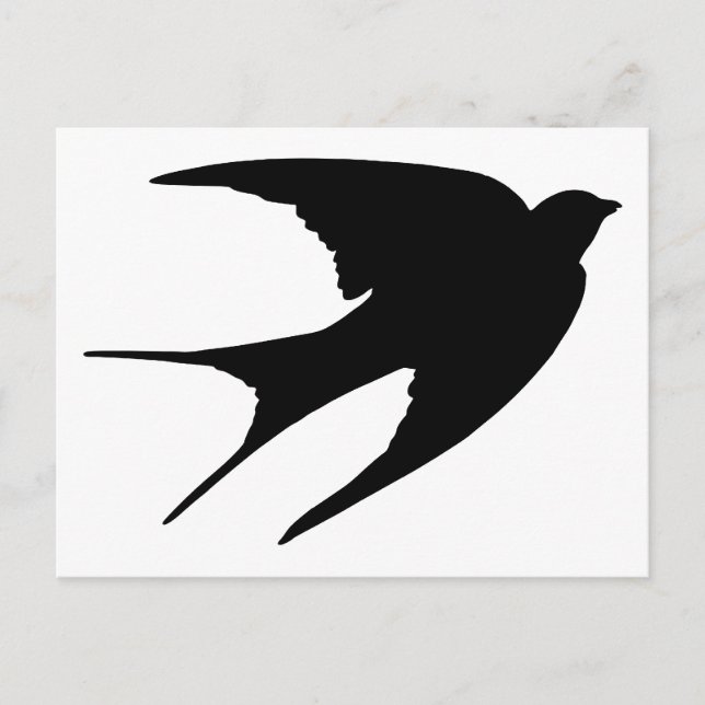 Barn Swallow Postcard (Front)