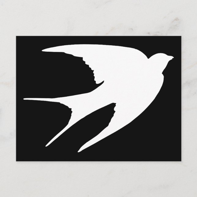 Barn Swallow Postcard (Front)