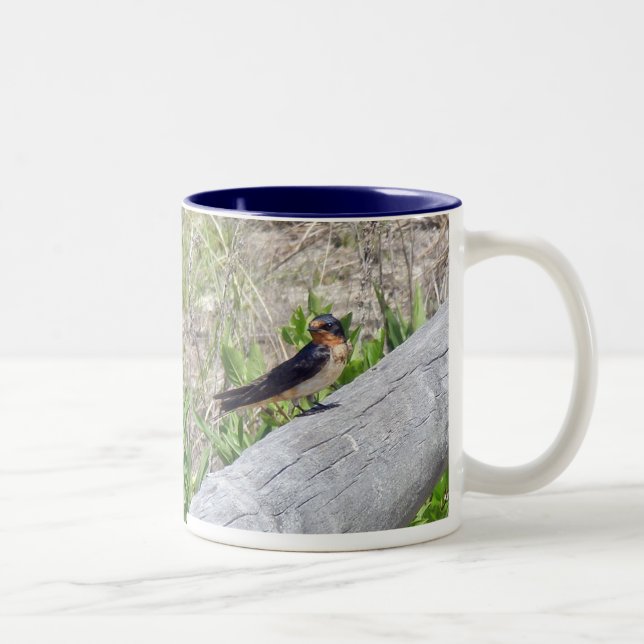 Barn Swallow Series Two-Tone Coffee Mug (Right)