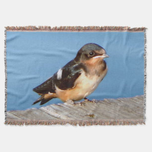 Barn Swallow throw blanket