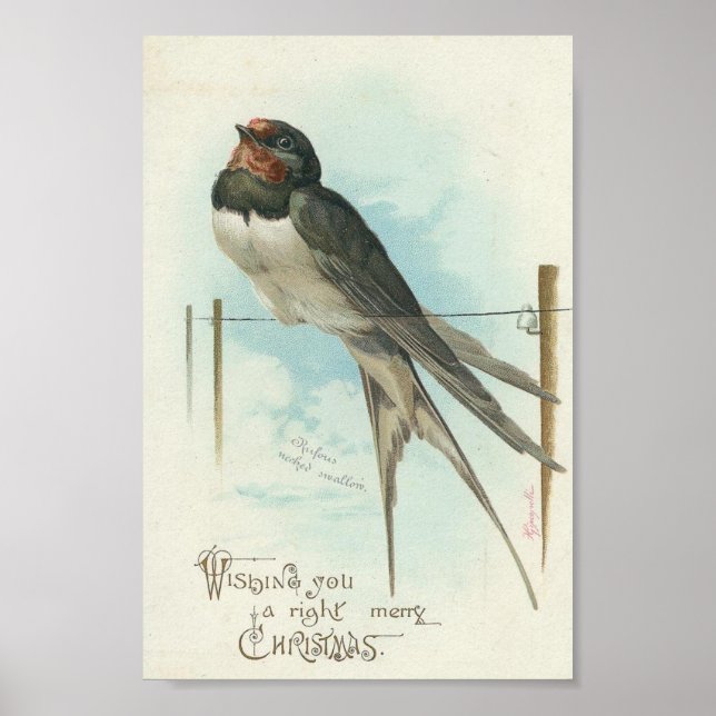 Barn Swallow Vintage Christmas Poster (Front)