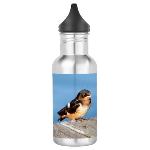 Barn Swallow water bottle
