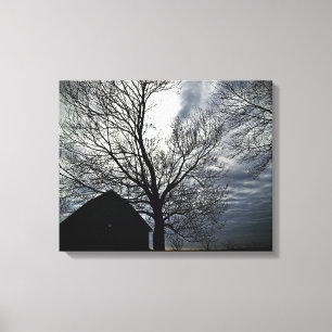 Barn w/Sky & Bare Trees Canvas Black & White Photo