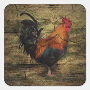 Barn Wood Farm Chicken french country rooster Square Sticker