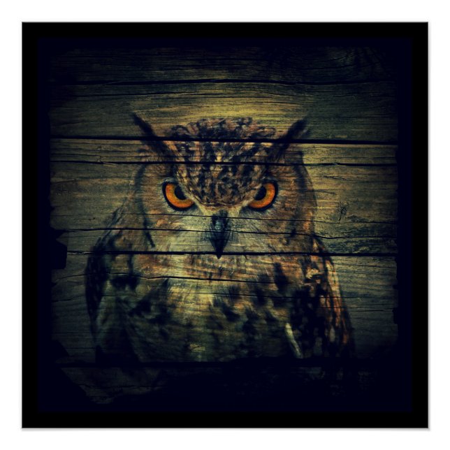 Barn Wood Gothic wild bird Spooky hoot owl Poster (Front)