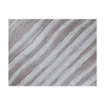 Barn Wood Grey Grey 2023