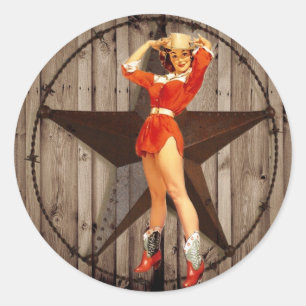 Barn wood Lone Star western country Cowgirl Classic Round Sticker