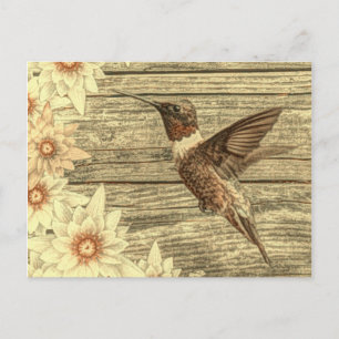 Barn wood white daisy french country hummingbird postcard