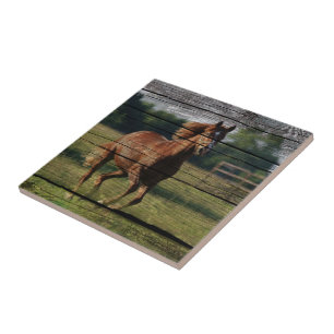 Barn Woodgrain Country Ranch Galloping Brown Horse Tile