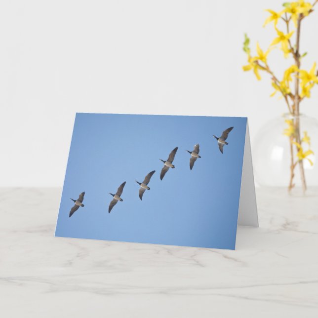 Barnacle Geese Card (Yellow Flower)