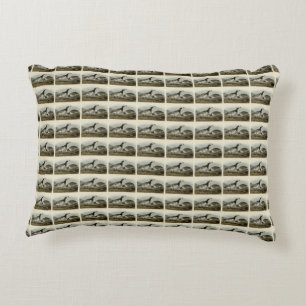 Barnacle Goose - from Audubon's Birds of America Decorative Cushion