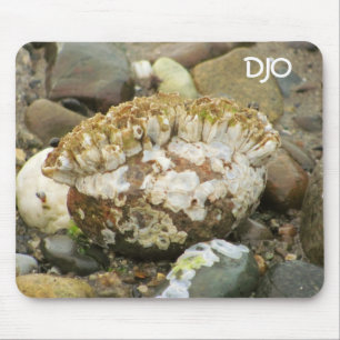 Barnacle Mohawk Beach Rock Mouse Mat