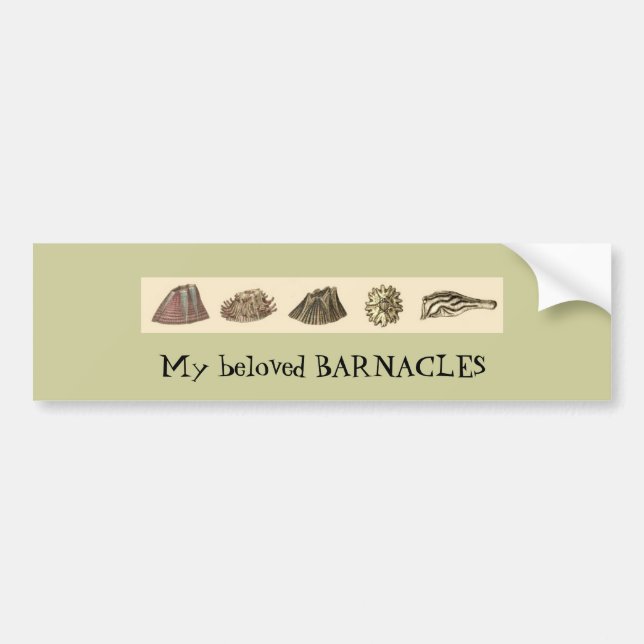 barnacle-slip, My beloved BARNACLES Bumper Sticker (Front)