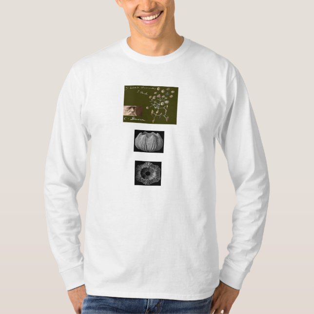 Barnacle T Shirt (Front)