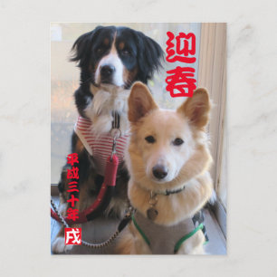 Barney's Mountain Dog and Wild Mix Dog New Year's  Postcard