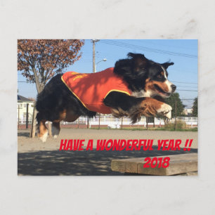 Barney's Mountain Dog New Year 2018 Postcard