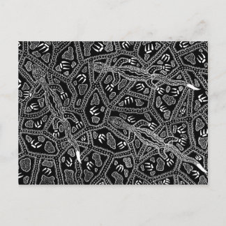 Barni - Monsoon Season Postcard