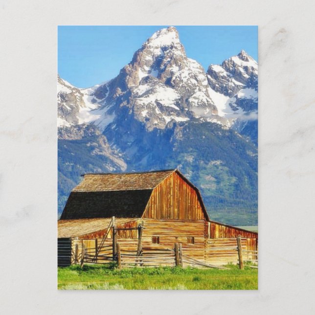 Barns Grand Tetons Mountains Postcard (Front)