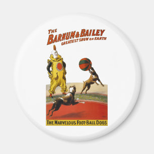 Barnum and Bailey: Football Dogs Magnet