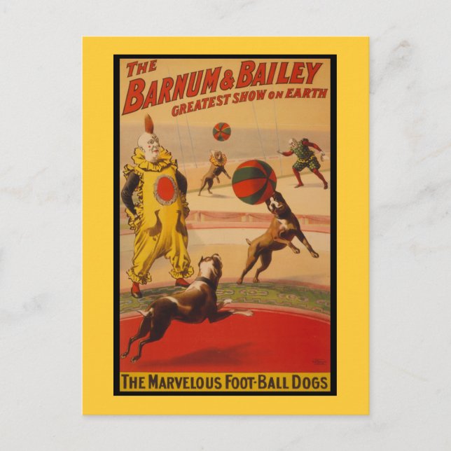 Barnum & Bailey Circus Foot-Ball Dogs Postcard (Front)