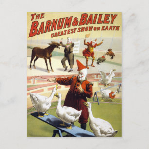 Barnum & Bailey - Wonderful Performing Geese Postcard